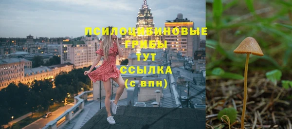 МДМА Ельня